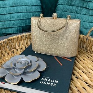 Boutique Evening Bag